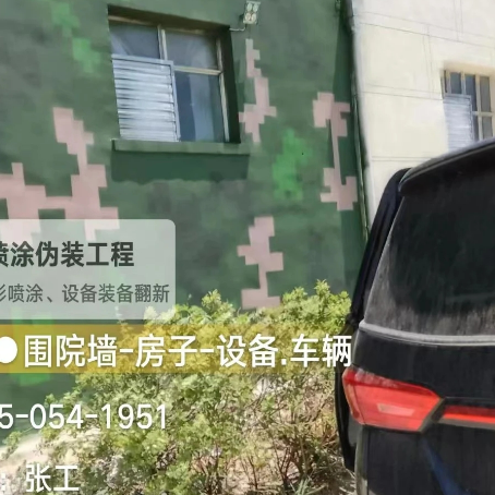 金华数码迷彩漆施工